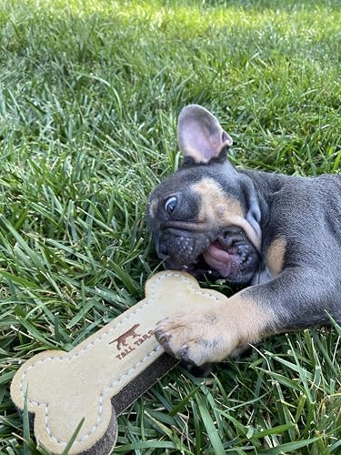 Tall Tails Dog Natural Leather Bone Fetch Toy for Dogs