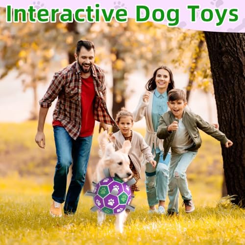 Diman Dog Toy Balls, 6 Inch Soccer Ball for Dogs with Straps