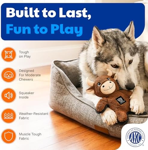 American Kennel Club Plush Dog Toy with Squeaker for Moderate Chewers, Soft Stuffed Dog Toy for Tugging, Fetch & Interactive Play, Gentle on Teeth