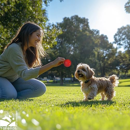 YoFellas Solid Red Rubber Dog Toy – Ultra Bounce, Indestructible Chew & Fetch Toy for Aggressive Chewers, Interactive Training for Small to Large Dogs (Small, 2-Pack)