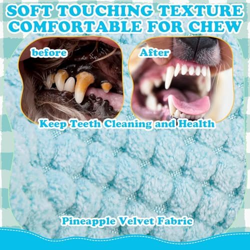 EXPAWLORER Dog Squeaky Toys,Puppy to Keep Them Busy Training