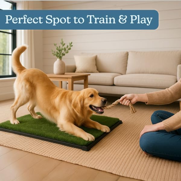 PETMAKER Artificial Grass Puppy Pee Pad with Tray for Dogs, 20” x 30” | Washable 3-Layer Reusable Indoor Dog Potty Grass Training Pad, Easy Clean Pet Housebreaking Potty Solution