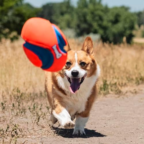 Chuckit! Fumble Fetch Dog Football, Small, Orange and Blue