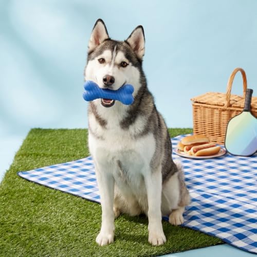 Playology Dual Layer Bone Dog Chew Toy - Jumbo, Hot Dog Scent