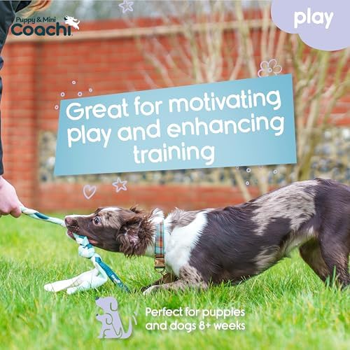 Coachi Puppy & Mini Tuggi Tug - Dog Toy for Tug of War & Play
