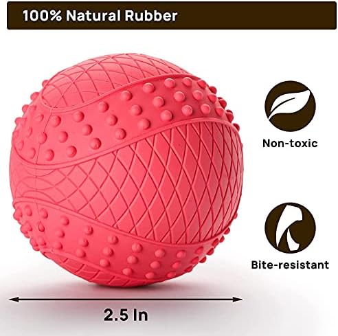 iPettie Summer Floating Dog Ball, Squeaky Water Fetch Toy
