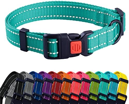Reflective Dog Collar, Quick-Release Buckle (Mint Green, 12-16 Inch)