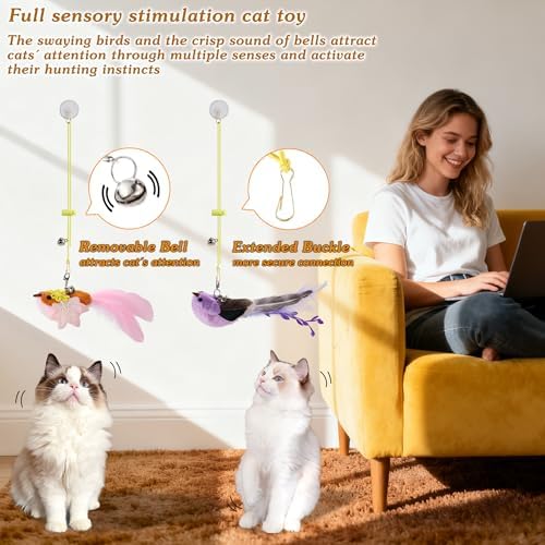 3PCS Hanging Bird Cat Toy for Indoor Cats