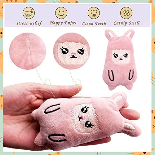 Cat Catnip Toys with Bells for Indoor Cats 6 Pack