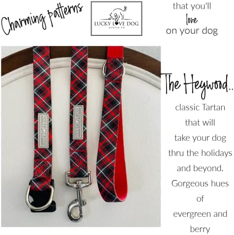 Lucky Love Dog Martingale Collar for Small Dogs No Slip – Heywood, Small