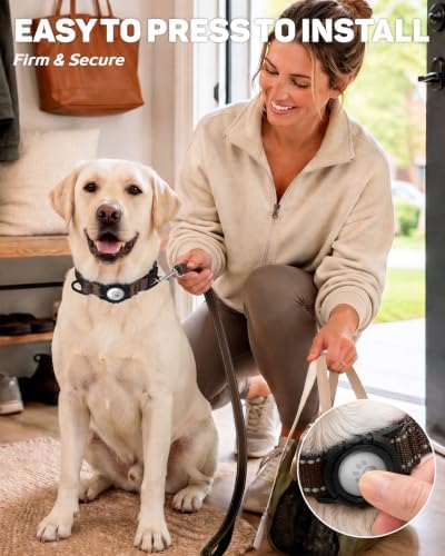 Padded Dog Collar with Waterproof Holder Compatible with Airtag
