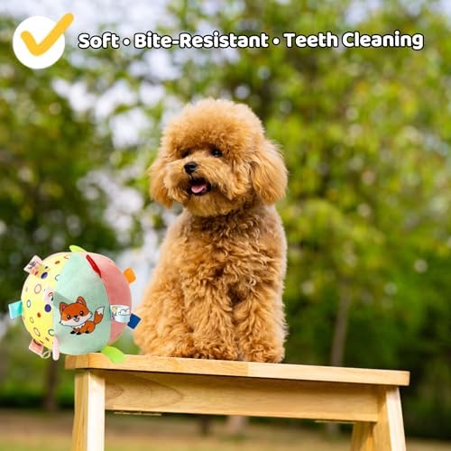 TRAVEYO Dog Toy Balls, Squeaky Plush Dog Balls with Colorful Sensory Tags & Built-in Bell, 6.3 Inch Soft Interactive Chew Fetch Toy for Indoor Outdoor Play, Suitable for Small Medium Large Dogs