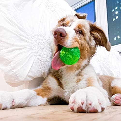 Hyper Pet DuraSqueak Dog Ball Toy, Interactive Dog Toys that Float and Squeaks for Playing, Fetching and Retrieving-Great Alternative to Traditional Tennis Balls Green 2.5 Inch