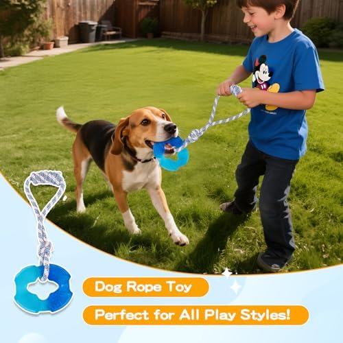 Dog Chew Toys for Aggressive Chewers, Multiple Textures & Rope, ndestructible Tough Durable Interactive Dog Toys, Puppy Chew Toys for Teething， The Large Blue Circle