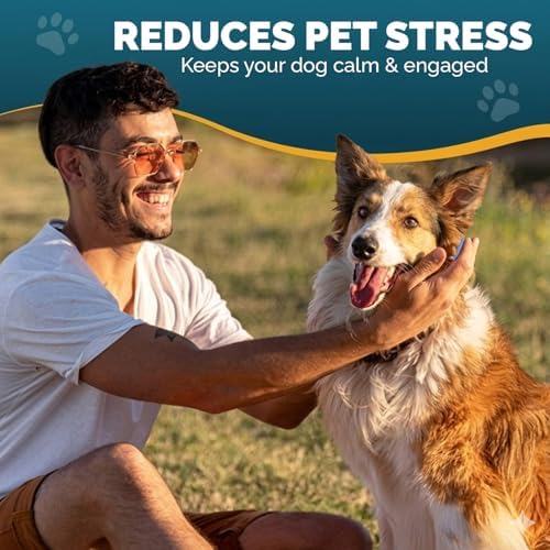 PET ARENA Adjustable Dog Snuffle Mat, Interactive Feeding Enrichment Toy
