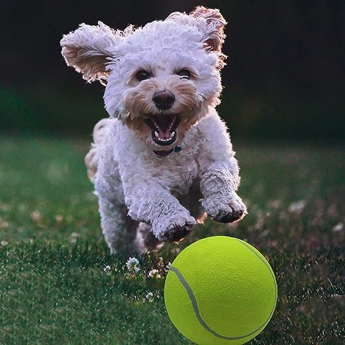 Magicorange 4 Pack 9.5 inch Giant Tennis Ball, Large Dog Toy Ball
