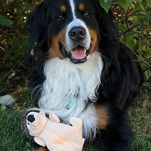 SmartPetLove Snuggle Puppy Tender-Tuffs Crinkle Dog Toy, Plush Hedgehog