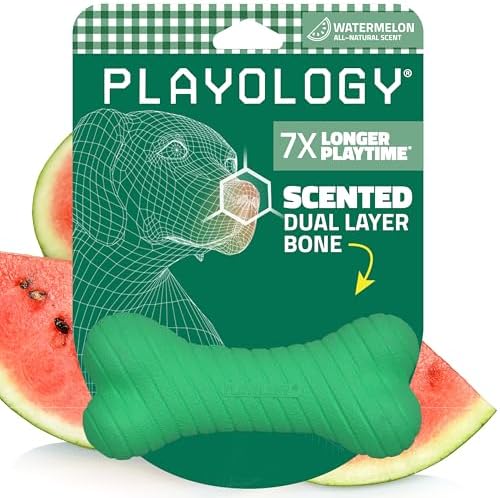 Playology Dual Layer Bone Dog Chew Toy - Medium, Watermelon Scent