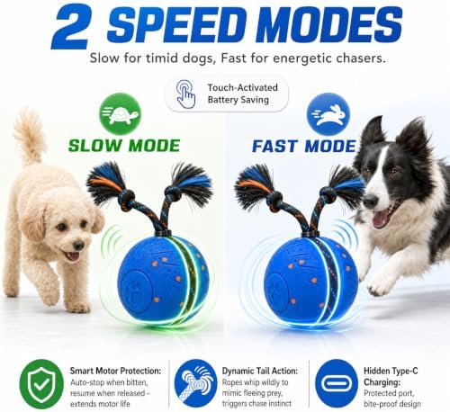 Interactive Smart Dog Ball Toy with Swinging Tail, Durable E-TPU Quiet Automatic Rolling Ball for Dogs to Chase, Self-Moving Dog Ball with Motion Activated, Rechargeable Small Medium Large Dog Toy