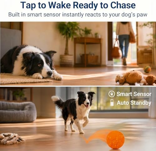 Interactive Dog Toy, Smart Automatic Dog Ball with 3 Interactive Modes, Durable E-TPU, Active Moving Ball Keep Them Busy, Moving Dog Toy for Medium and Large Dogs, Orange