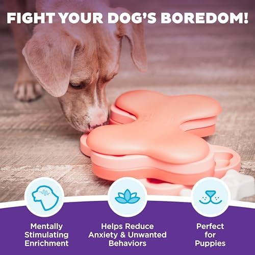 Outward Hound by Nina Ottosson Puppy Hide N' Slide Treat Puzzle Enrichment Dog Toy, Green