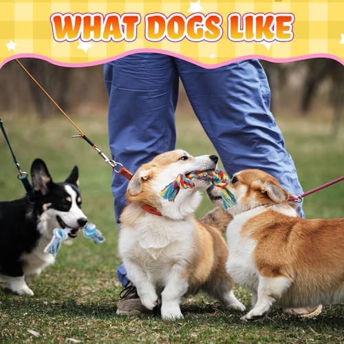 RoundFunny 100 Pcs Knot Rope Dog Toys Multi Color