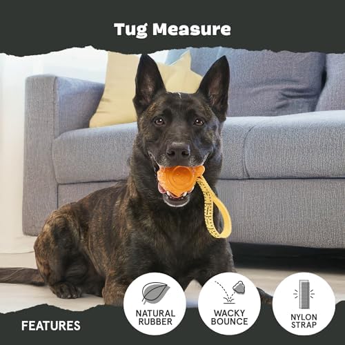 BarkBox Tug Measure Durable Dog Toy - Large