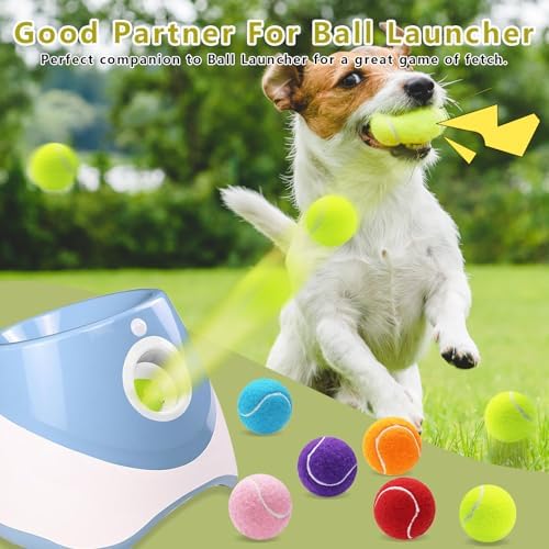 Magicorange Small Tennis Balls, 6 Pack 2 inch Squeaky Tennis Balls for Dog