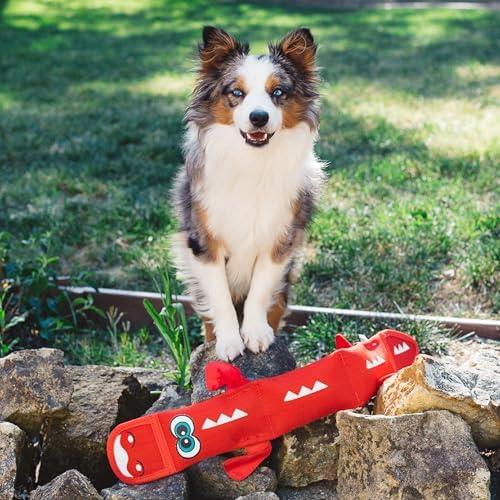 Outward Hound Fire Biterz Red Lizard, Plush Firehose Material Interactive Dog Toy, Large