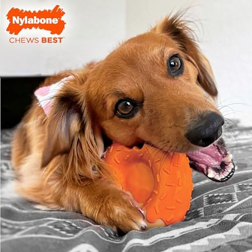 Nylabone Power Chew Novelty Donut Durable Dog Chew Toy, Large
