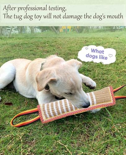 Clysoru Dog Tug Toy Tough Jute Bite Pillow Lasting Training Equipment Puppy to Large Dogs Interactive for Large and Small