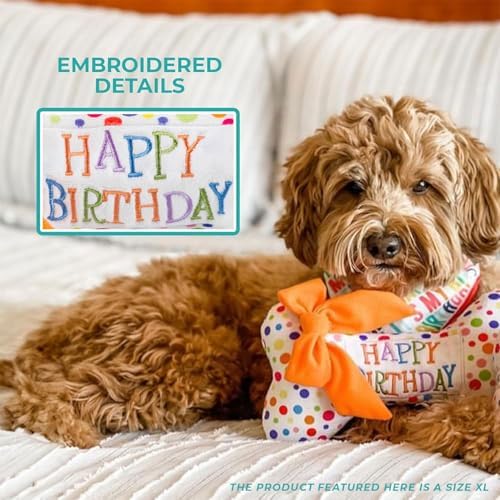 Haute Diggity Dog Happy Birthday Bone Plush Dog Toy, Funny Stuffed Dog Toy