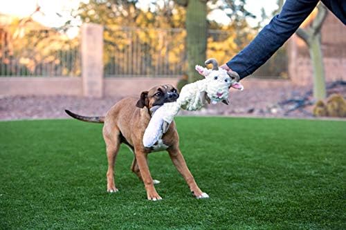 Jolly Pets Fat Tail Large Billy Goat (Pack of 2)