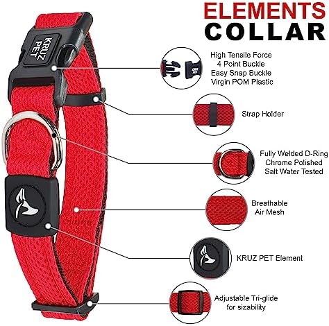 Dog Collar for Small Dogs (Width- 5/8", Neck - 8"-12") | Adjustable Padded Amethyst Dog Collar with Heavy Duty D-Ring | Soft Comfortable Fit for Small Dogs | Amethyst, X-Small