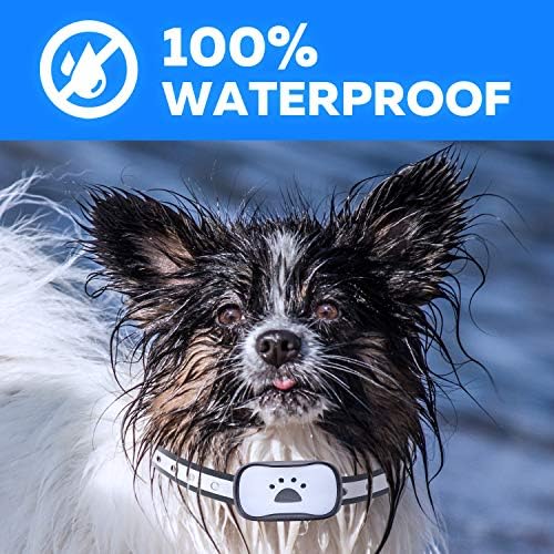 [Newest 2019] Dog Anti Bark Collar with Upgraded Smart Chip Stop Anti-Barking Modes - Sound/Vibration/Shock/LED Flashing Light - Rechargeable/Rainproof/Reflective for Small, Medium, Large Dogs