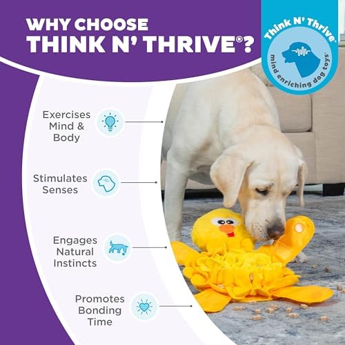 Outward Hound Nina Ottosson Snuffle Palz Squeaky Dog Toy, Chicken, 13.4" | Plush Snuffle Mat, Hidden Treat Pockets, Slow Feeder, Interactive Foraging, Non-Slip Base, Dogs & Puppies