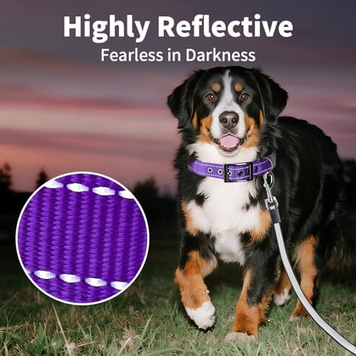 Segarty Reflective Purple Girl Dog Collar, Adjustable Wide Soft Comfortable Breathable Neoprene Padded Nylon Collar with Heavy Duty Metal Buckle for Extra Large Breeds (XL, Purple)