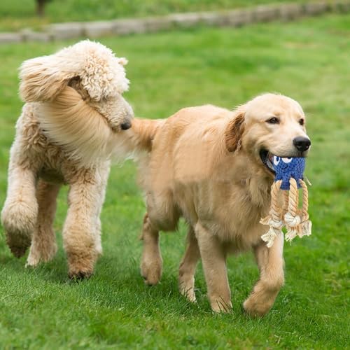 Cute Marine Animal Dog Squeaker Chew Toys, Interactive, Blue Octopus