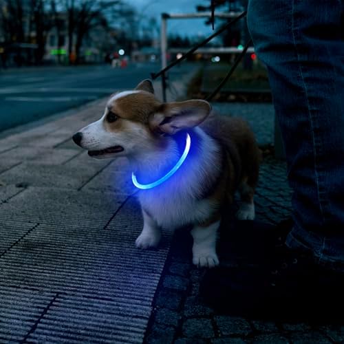 Flashseen LED Dog Collar, USB Rechargeable Glow Lighted up Collar, Blue