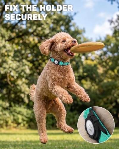 Padded Dog Collar with Waterproof Holder Compatible with Airtag
