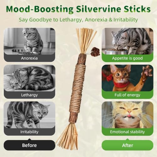 GBSYU Silvervine Sticks Cat Kitten Chew Toys for Indoor Cats Teeth Cleaning