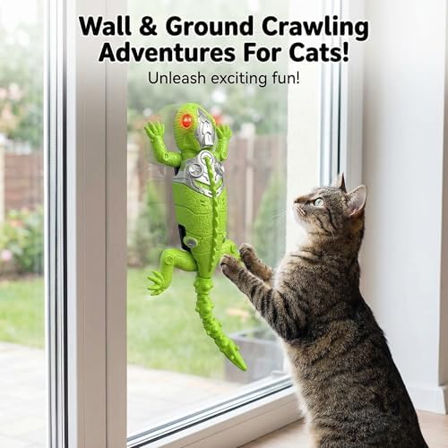 Lizard Cat Toy Wall Climbing Remote Control Toy for Indoor Cats