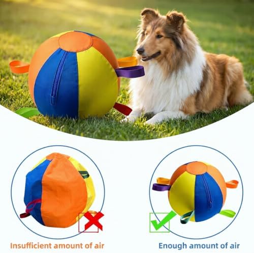 Herding Ball for Dogs, 21.6" XL Outdoor Exercise Toy for Medium Large Dogs