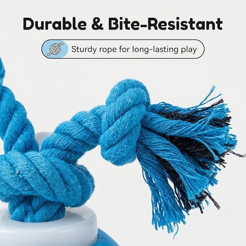 Winb Interactive LED Dog Ball （4 inch）- USB Rechargeable Motion-Activated Rolling Toy for Small to Large Dogs, Dogs Ball Play and Wicked Fun, Squeaky Sound & Stimulation, Blue