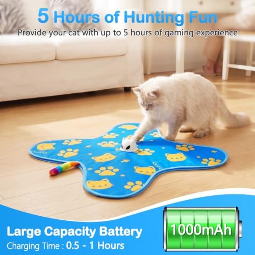 Interactive Cat Toys for Indoor Cats, Rechargeable Hide & Seek Toy