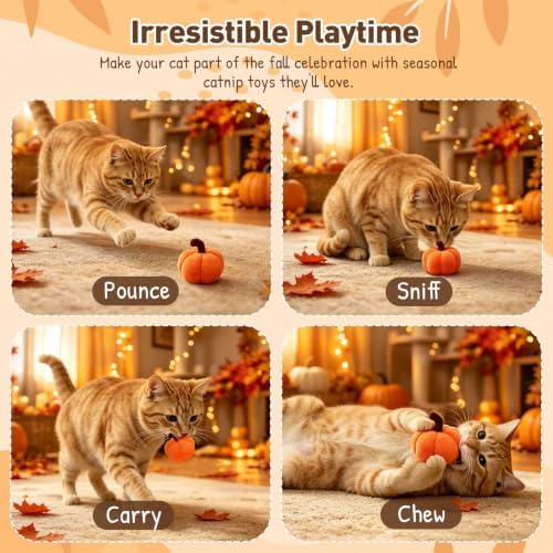 Plush Fall Catnip Toys for Indoor Cats 6 Pack, Pumpkin Shape