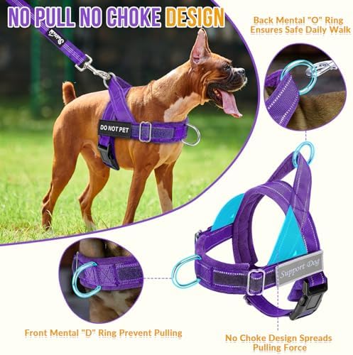 Lukovee No Pull Dog Harness and Leash Set, Soft Padded for Large Medium Dog