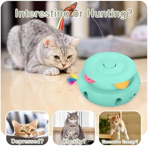 3-in-1 Interactive Cat Toys for Indoor Cats, Blue