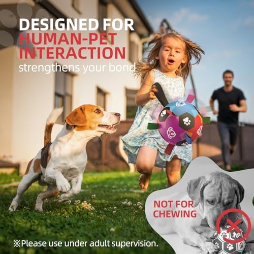QDAN Dog Toys for Large Dogs, Durable Dog Balls for Aggressive Chewers