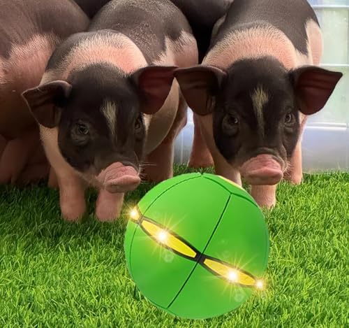 Pig Toy - Toy for Pigs, Interactive Pig Flying Saucer Disc Ball Toys with 6 Lights for Mini Pigs, Enrichment Play for Pet Pigs Supplies Enjoyment and Fun-Green